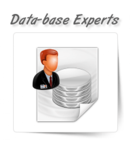 Data-base Management Experts